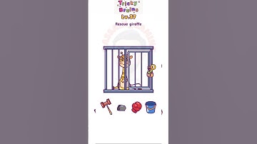 Tricky Brains Level 37 #trickybrains #shorts