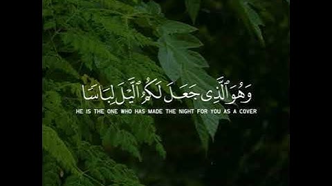 سورة الفرقان / ألم تر إلى ربك كيف مد الظل - القارئ خالد الجليل | مقاطع قرآن وحالات واتس إسلامية 🌱