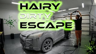 '15 Ford Escape That Needed Some Attention | Pet Hair Removal | Deep Cleaning |