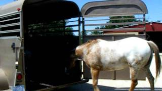 DSCF3761.AVI