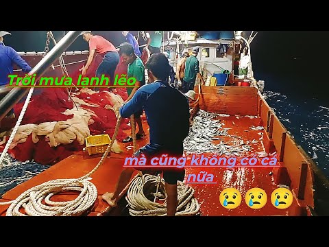 Video Thời Tiết xấu, mưa, gió làm ảnh hưởng đến sức khỏe làm... - youtube