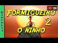 Formigueiro 2-Como fazer o ninho para a rainha