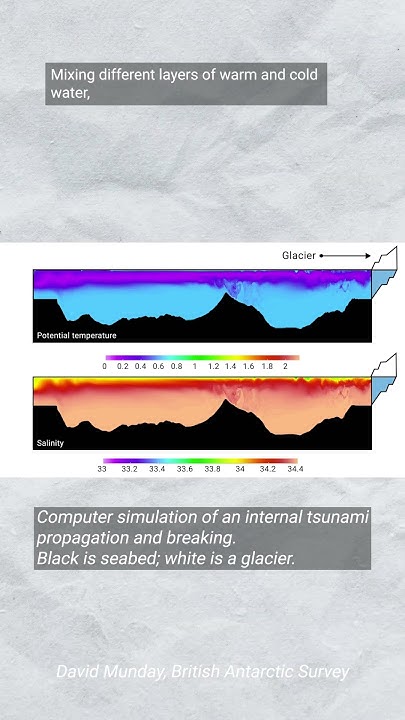 7 4 tsunami