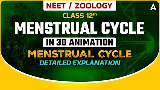MENSTRUAL CYCLE CLASS 12 | IN 3D ANIMATION | MENSTRUAL CYCLE DETAILED EXPLANATION | BY SANKALP