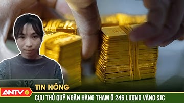 Truy tố cựu cán bộ Ngân hàng TPBank tham ô 246 lượng vàng SJC 