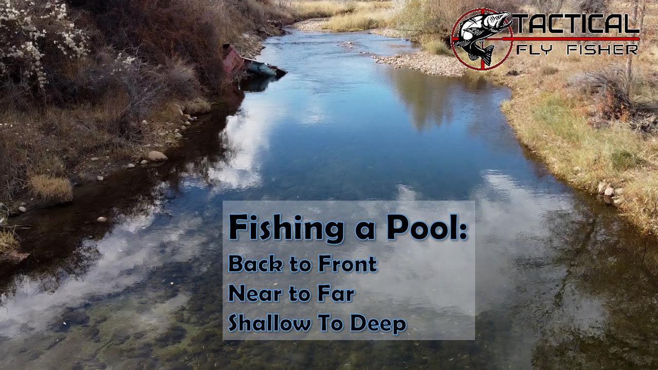Fishing a Pool: Back to Front, Near to Far, and Shallow to deep