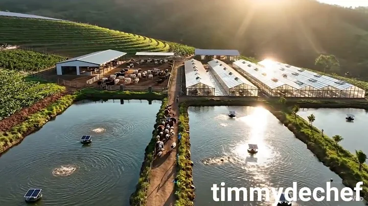 Beautiful integrated farm 