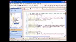 08   User Controls, SDTs e Data Providers