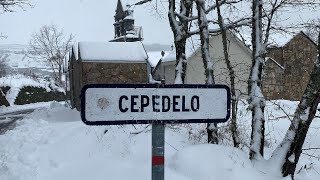 “LA SOCIEDAD Y LA NIEVE”. Cepedelo