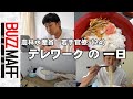若手官僚(24)テレワークの1日を見せます。 タガヤセキュウシュウ