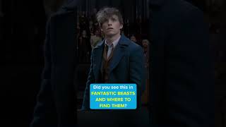 Did you see this in FANTASTIC BEASTS AND WHERE TO FIND THEM