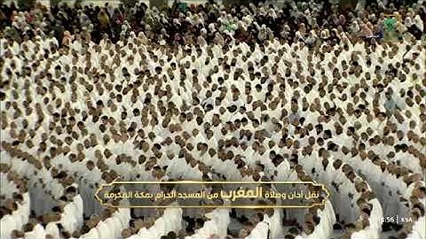 ماتيسر من سورة طه والروم لـ فضيلة الشيخ #فيصل_غزاوي من صلاة المغرب ٩ شوال ١٤٤٤هـ