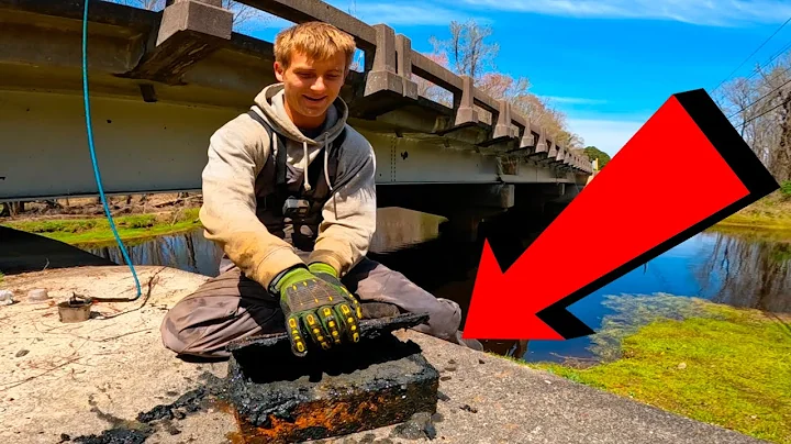 You Will Not Believe What We Found Under This Brid...