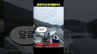 통영무늬오징어낚시탐사1탄 #통영낚시 #태성레져 #선외기 #풍화리선외기 #무늬오징어낚시 #통영선상낚시 #풍화리태성레져 #잘피밭