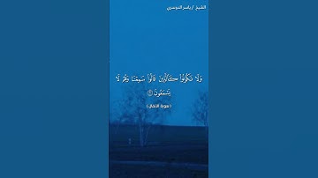سورة الأنفال ( ٢٠ - ٢٢) / ياسر الدوسري