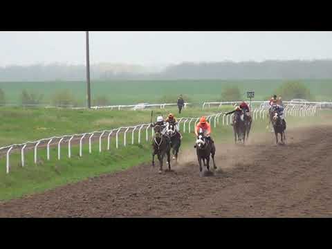 Видео: Състезание с тренировъчно бягане