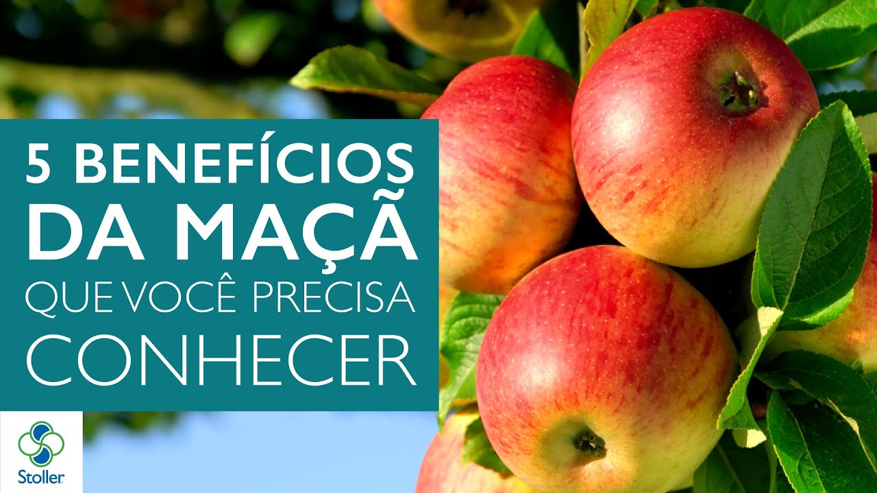 5 Benefícios da Maçã que Você não Sabia: Incrível para o CÉREBRO, CORAÇÃO e SISTEMA IMUNOLÓGICO