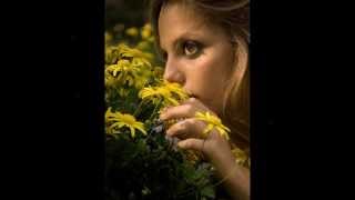 LA PALMA  (Canción Popular Mexicana)