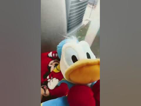 Hoc pranked Donald Duck - YouTube