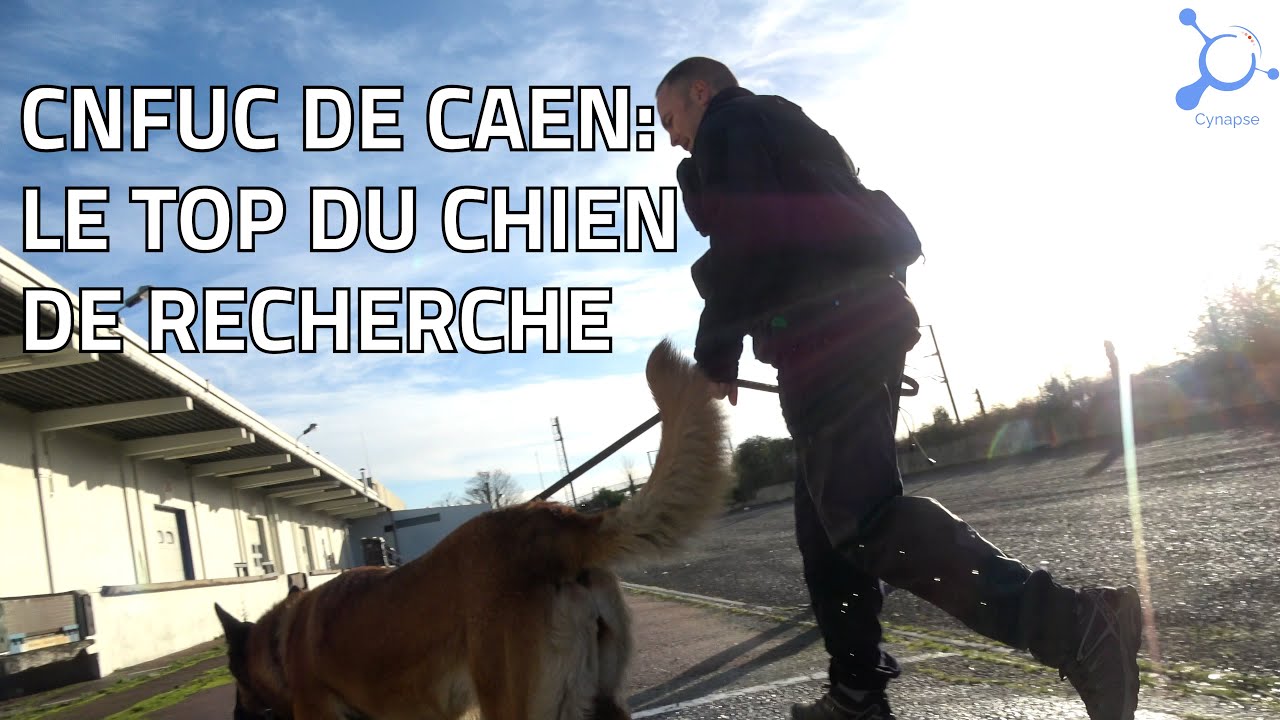 CAEN : le top niveau du chien de recherche !