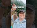 SCHOLLE auf TAUWURM #fishing #YouTubeHighFive