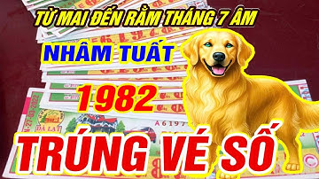 Trời định TRÚNG SỐ ĐỘC ĐẮC Tuổi NHÂM TUẤT 1982 CÓ TIỀN TỶ CỰC GIÀU đúng từ mai đến 15 rằm tháng 7 âm