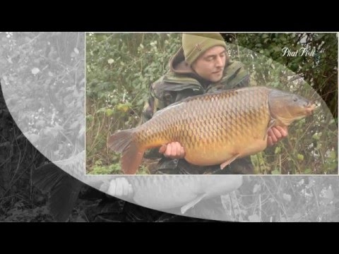 Phat fish clothing Clearance