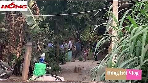 Củ Chi, Tp HCM Nổ súng 4 người tử vong tại sới bạc phần 1