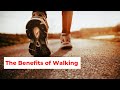 The benefits of walking informative yard
