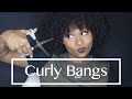 Cutting Curly Bangs | Natural Hair | Shardel Haden