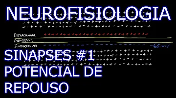 Para que serve a neurofisiologia?