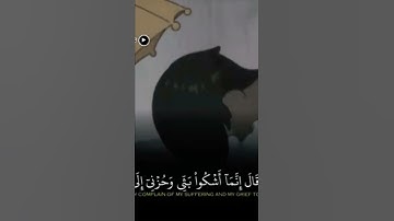 تلاوة خاشعة تبكي القلب 😥 بصوت اسلام صبحي حالات واتس اب دينيه 😭💛🍃