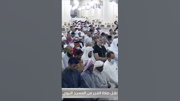 [وما صاحبكم بمجنون] #ﷺ تلاوة رائعة للشيخ #أحمد_طالب_حميد من سورة #التكوير في #المسجد_النبوي ♥️