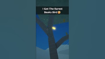 Did I Just Hatch the RAREST Bird in Beaks?! 😳🕊️ #roblox #beaks #fisch