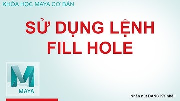 Học Maya sử dụng lệnh Fill Hole trong menu Mesh
