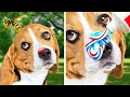 GENIUS HACKS FOR PET OWNERS || DIY IDEAS AND GADGETS YOU SHOULD SEE