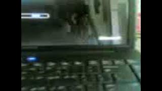Download lagu compaq cq40-downgrading to xp