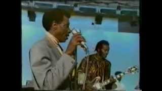 T- Bone Walker with Chuck  Berry - Everyday I Have The Blues chords