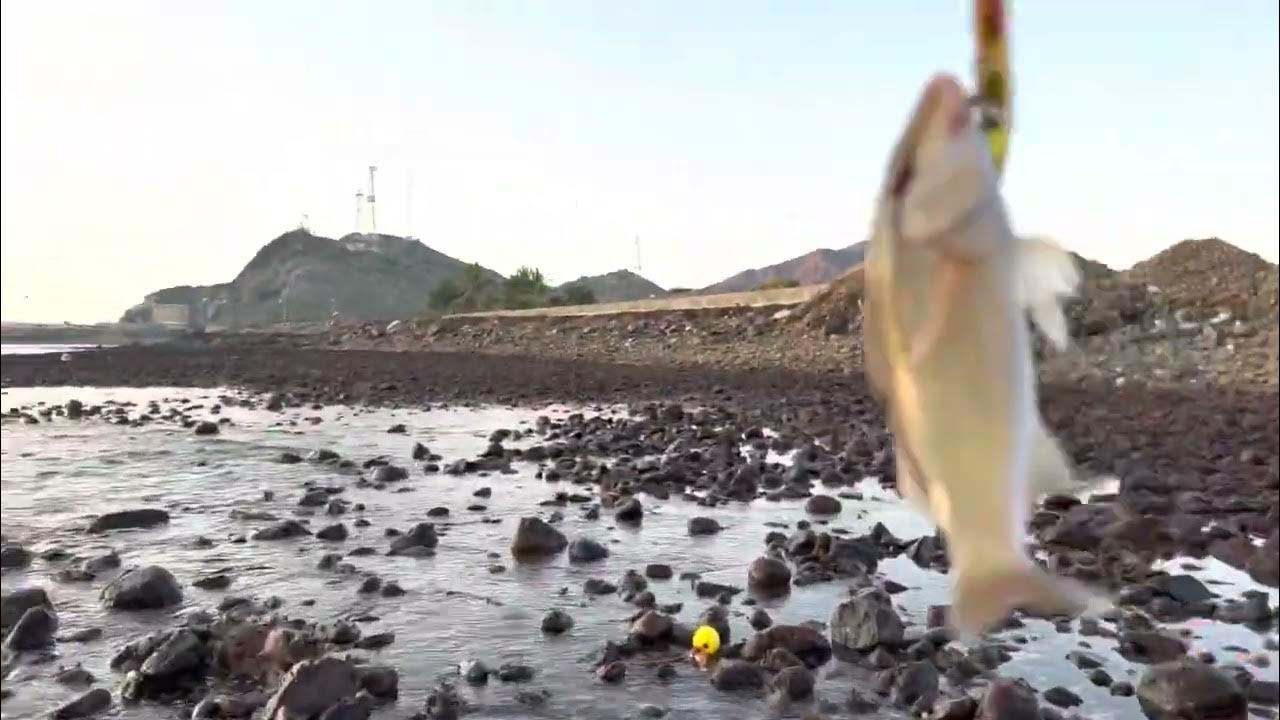 (SUTUKIL)Sugba,Tula,kilaw Catch ang cook fresh fish Ang saya nang unli