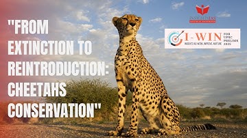 Cheetah Conservation in India 🇮🇳 | Project Cheetah  |  I-WIN Prelims Test Series 2025 ! INSIGHTSIAS