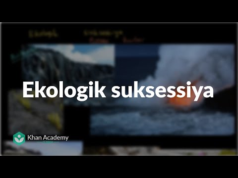 Video: Zamonaviy va ekologik toza ekologik charm karavotlar