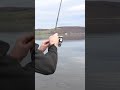 Fishing swimbaits for early spring bass featuring Nick Petrou and Mike deAvila on Canadarago Lake,