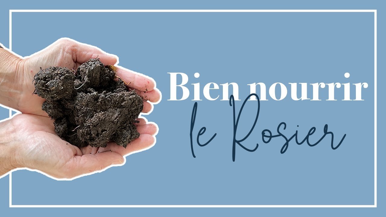 Comment obtenir du compost - La Roseraie du Désert - Rosiers