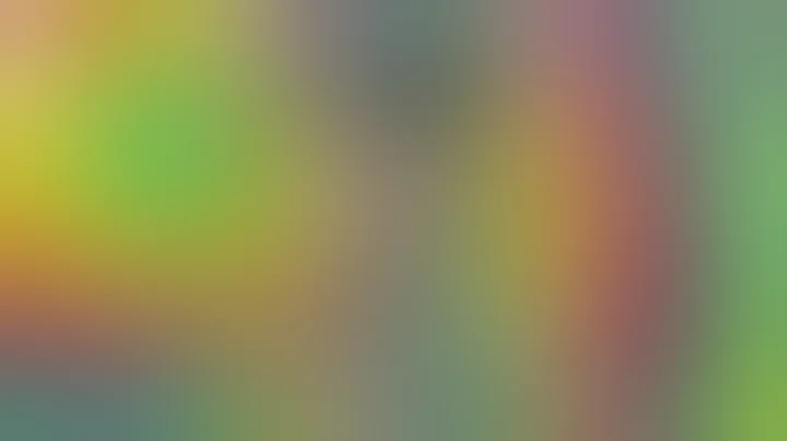 FUNCTION OF THE SPLASHPROOF SHOWERHEAD ASH CATCHER