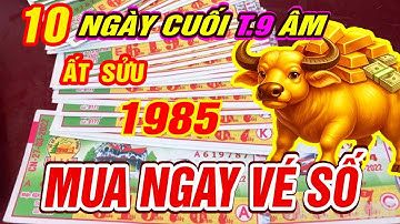 Trời cao báo tin Tuổi ẤT SỬU 1985 TRÚNG SỐ ĐỘC ĐẮC CỰC GIÀU CÓ đúng 10 ngày cuối T9 âm
