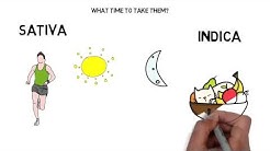 Sativa vs indica