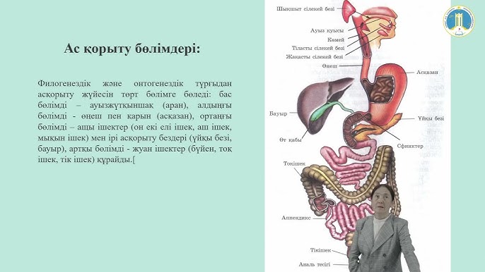 Жуынатын бөлмедегі жасырын камера Ұйықтау кеуделі бейне порно