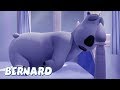 Bernard Bear | Sleepwalker AND MORE | 30 min Compilation | Cartoons for Children