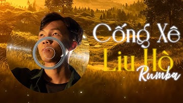 Cống Xê Liu Hò Rumba - Tô Đạt x SinKra Remix ~ Lí trí trong lòng gần như ta bỏ quên..