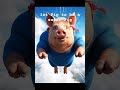 1st Pig to be a super-Pig